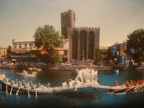 Monte Escalier Domicile Installation Monte escalier Agde