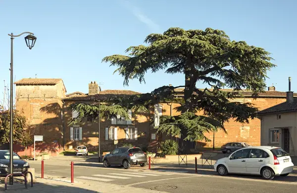 Monte Escalier Domicile Installation Monte escalier Aussonne