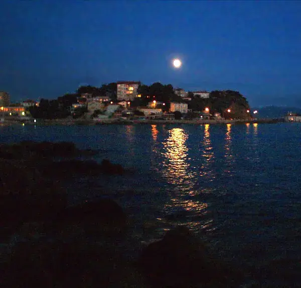 Monte Escalier Domicile Installation Monte escalier Bandol