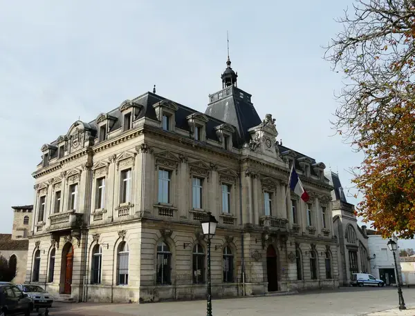 Monte Escalier Domicile Installation Monte escalier Coutras