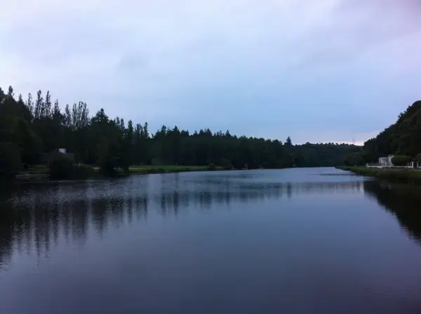 Monte Escalier Domicile Installation Monte escalier Inzinzac-Lochrist