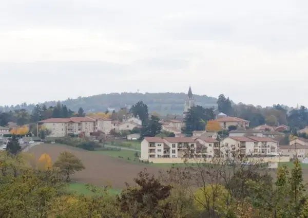 Monte Escalier Domicile Installation Monte escalier Lentilly
