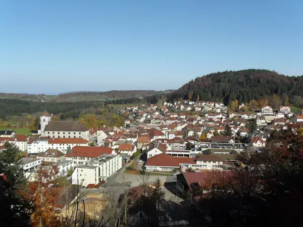 Monte Escalier Domicile Installation Monte escalier Maîche