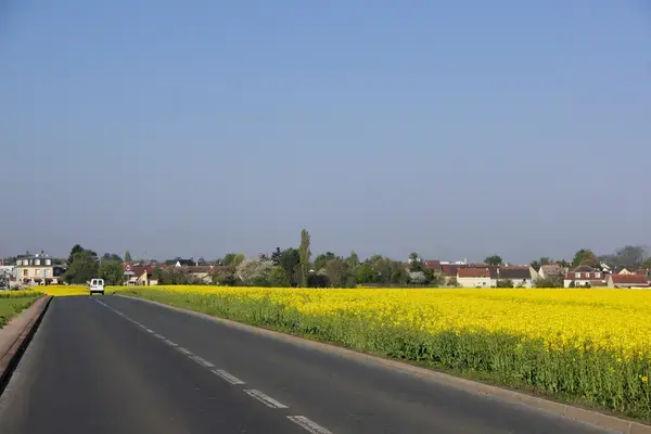 Monte Escalier Domicile Installation Monte escalier Noiseau