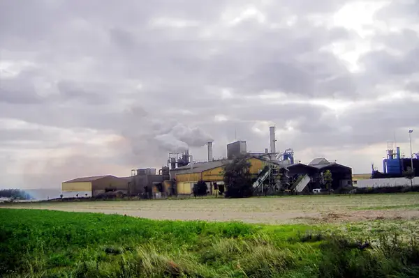 Monte Escalier Domicile Installation Monte escalier Ormes