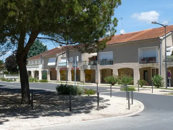 Monte Escalier Domicile Installation Monte escalier Pineuilh