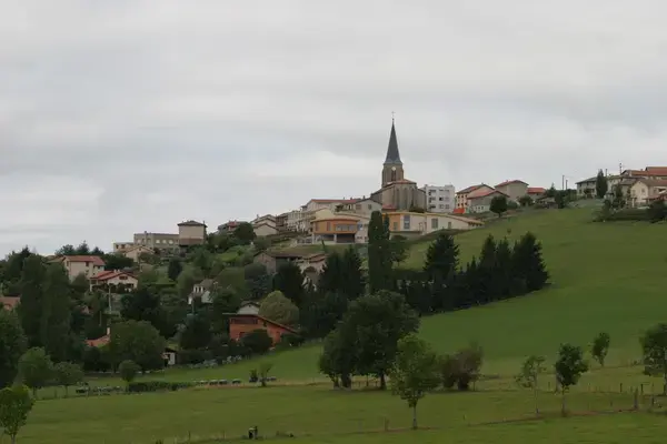 Monte Escalier Domicile Installation Monte escalier Saint-Christo-en-Jarez