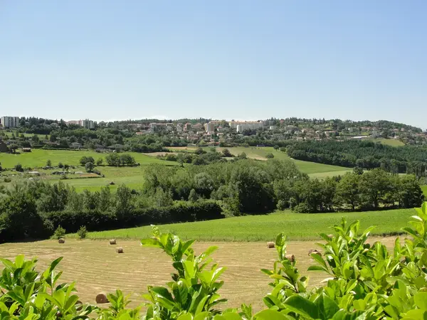 Monte Escalier Domicile Installation Monte escalier Saint-Genest-Lerpt