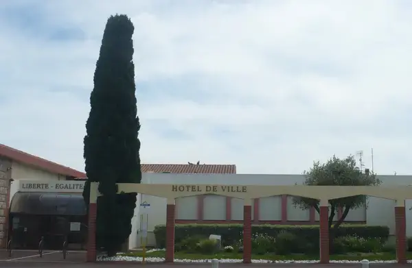 Monte Escalier Domicile Installation Monte escalier Saleilles